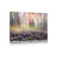 Lavender in the forest, painting on canvas, huge XXL Pictures completely framed with stretcher, art print on mural with frame, cheaper than painting or oil painting, no poster or poster size: 80x60 cm