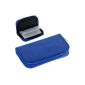 Foxnovo Portable SD SDHC MMC Slots 22 CF Micro SD memory card holder zip pocket protector storage bag closure (Blue) (Office Supplies)