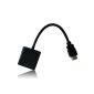 niceEshop HDMI to VGA Cable for PC, Notebook, HD DVD, Black (Electronics)