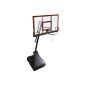 Shopping Basket Ball Swager Platinum (Miscellaneous)