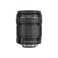 Canon Zoom Lens EF-S 18-135mm 1: 3.5-5.6 IS STM (67mm filter thread, with STM technology) black (accessories)