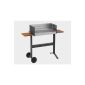 Dancook charcoal grill 5300 62x32cm, with storage (garden products)