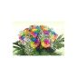 Colorful bouquet with 10 rainbow roses - Rosenbote Flower Delivery