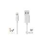 INNOWATT Apple Certified MFI USB to flash charging / sync cable Compatible 2m / 6.6ft White Perfect Match with iPhone series for Apple iPhone 5 5S 5C 6 / iPod touch 5/7 Nano / iPhone 4 / iPad Mini HK245 (Personal Computers)