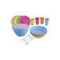 Picnic Set 26 pieces for 4 persons (plastic tableware, picnic utensils, camping, plastic cutlery, plates, cups, bowl) (Misc.)