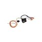 Hama Active System Adapter for Audi with Bose to Quadlock (Accessories)
