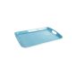 Delys-By-Verceral 513071 Anse Melamine tray with blue (Housewares)