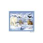 Ravensburger 28422 - arctic animals - Paint by numbers, 30 x 24 cm (toys)