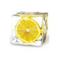 Eurographics DG-AU2101 Table decorative glass lemon pattern in an ice cube 20 x 20 cm (Miscellaneous)