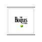 The Beatles in Mono Vinyl Box [Vinyl] (Vinyl)