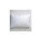 Linens Limited Set of 2 polyester pillows and pillow protectors, economical product