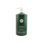 Paul Mitchell Tea Tree Special Shampoo 1 liter (Personal Care)