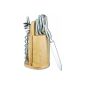 Esmeyer 291-371 Knife Antaris with kitchen helpers and block (household goods)