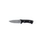 Gerber knives BIG ROCK CAMP FE, Clam, gray, 22-41589 (equipment)