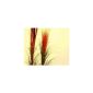 Schilfgras artificial, light brown, height 127 cm - artificial grass