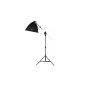 Continuous light daylight Daylight Photo Lamp with Tripod Boom Stand Softbox (Electronics)