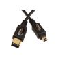 1A Firewire cable