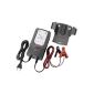 Bosch 0189999070 Microprocessor battery charger C7, for 12 V and 24 V, with trickle charge (Automotive)