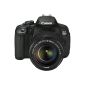 Canon EOS 650D SLR Digital Camera (18 Megapixel, 7.6 cm (3 inches) touch screen, Full HD) Kit incl. EF-S 18-135 IS STM Lens (Electronics)
