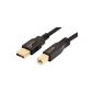 AmazonBasics USB 2.0 Cable A Male to B Male, 3 m (Personal Computers)