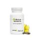 Tribulus Terrestris * natural testosterone booster * High Titration to 40% saponins * 470 mg / 180 vegetarian capsules * extract containing 100% natural (Health and Beauty)