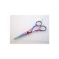 15.2 cm Professional hairdressing scissors.  Salon shears.  Titanium color, Pink (Miscellaneous)