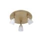 P.Neuhaus 6403-11 Ceiling lamp Arccadia antique brass, swiveling (household goods)
