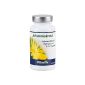 St. John's wort capsules -. U In mild depression burn-out syndrome - mood enhancers (100 capsules) (Health and Beauty)