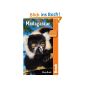 Madagascar (Bradt Travel Guide Madagascar) (Paperback)