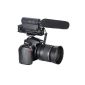 TAKSTAR® Stereo Microphone photography interview for Canon 5D Mark II, 7D, 550D, 600D Nikon Pentax Olympus Panasonic Sony DSLR camera DV (Electronics)