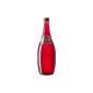 Ty Nant water Carbonated red 750 ml (Misc.)