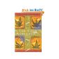 The Four Agreements: A Practical Guide to Personal Freedom (Toltec Wisdom) (Paperback)