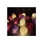 Purple color ball LED String Of flowerglow
