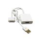 GUMP Dock Connector to HDMI Full HD 1080p HDTV AV + TV gilded USB charger adapter for iPad 1 2 3 iPhone 4 4S iPod (Electronics)