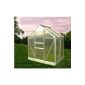 Chalet-901667 46 Garden Greenhouse Garden with Base Aluminium / Polycarbonate Transparent 190 x 120 x 200 cm (Garden)