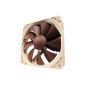 The Noctua quality with go!