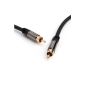 Direct Cable 2m Digital coaxial and subwoofer cable (1 phono to 1 phono) - PRO Series (Accessories)