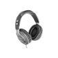 Panasonic RP HTF 600 hook headphones (105 dB) Silver (Electronics)