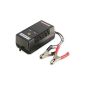Ansmann 5207333 ALCT 6-24 / 2 desktop charger for 6V-24V maintenance-free lead-sealed lead acid battery (optional)