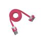Cable for Apple iPhone 3, 4, 4S / iPod Touch / iPad 1, 2 & 3 - Design Plate - Transfer and Fast Charging - 1 meter - Rose - by Primacase (Electronics)
