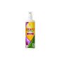 Seramis Revitalising Leaf care for orchids 1 x 250 ml (garden products)