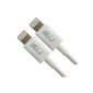 RND Apple Certified Cable 2x 8-pin Lightning to USB Cable (1m / white) iPhone (6/6 Plus / 5 / 5S / 5C), iPad (Air / Mini), iPod Touch (Wireless Phone Accessory)