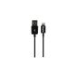 Energizer LCAEHUSYIPBK2 Charger 1 USB Cable + Lightning Connector Black (Accessory)