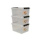 Hammarplast 35100703 Set of 3 clipbox Smart Store Classic 31, 31 liters, transparent (household goods)