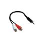 Hama soft Adapter 2 RCA female <=> 1 3,52mm male stereo jack about 0.20m (Accessory)