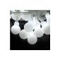 Innoo Tech Lights 100 spherical LED bulbs, power supply, EU standard plug, use indoors or outdoors White 10 m