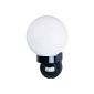 Elro ES49Z Applies Globe Glass and Plastic with Motion Detector (Garden)