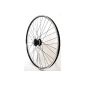 28 inch bicycle wheel front wheel Shimano Dynamo DH3N20 black (Misc.)
