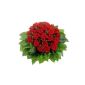Bouquet, 24 red roses - SHIP AT 02/14/2015 (garden products)