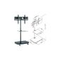 FS941 Plasma / LCD TV trolley stand with holder and glass shelf (Electronics)